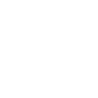 Customization - Chimney Caps and Covers